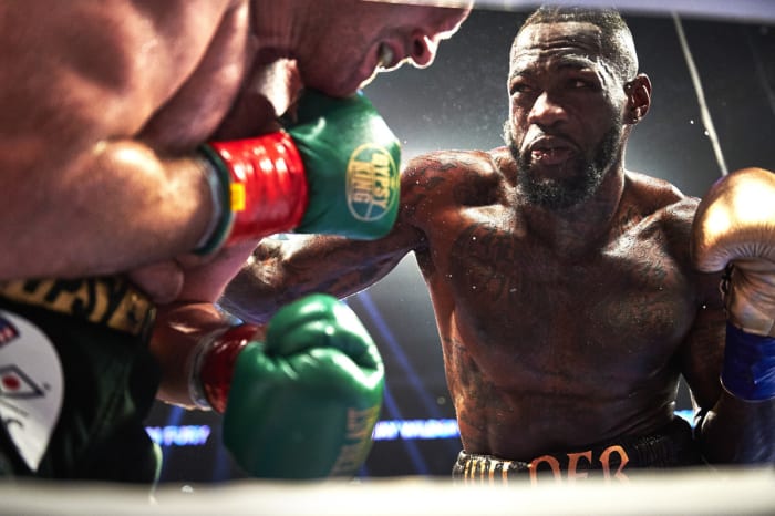 wilder-fury-close-up-SI